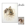 Amelie-cat-portrait-with-reference-photo