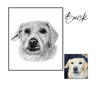 Buck pencil dog portrait with reference photo