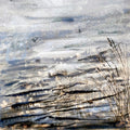 Contemplation Canvas - Alison Brown Art