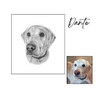 Dante pencil dog portrait with reference photo