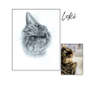 Loki-cat-portrait-with-reference-photo
