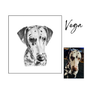 Vega dog portrait with reference photo